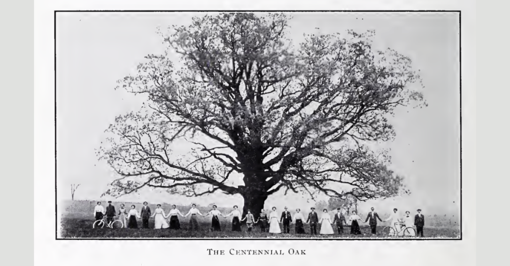 The Centennial Oak in Kutztown, PA, circa 1915