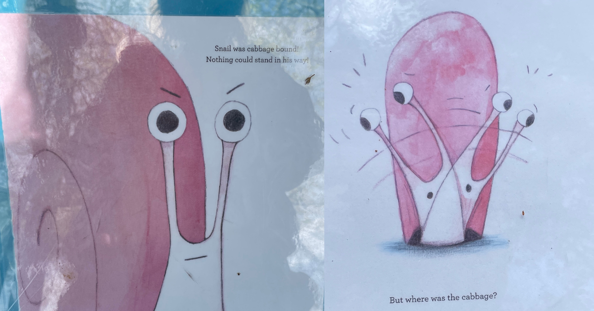 Images of cartoon snail looking for cabbage from Kutztown Park Story Walk, May 2026